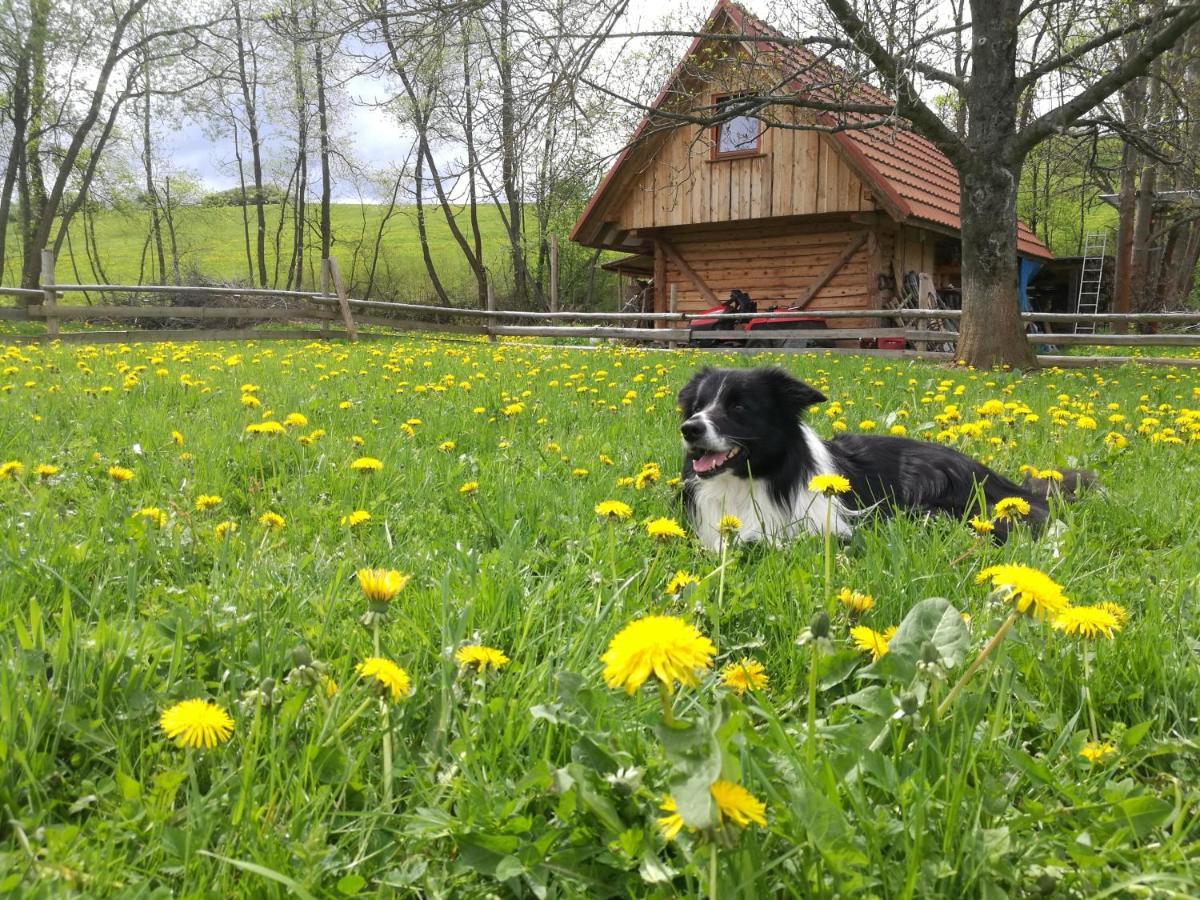 Holiday Home Holiday Raj Bešeňová Exteriér fotografie